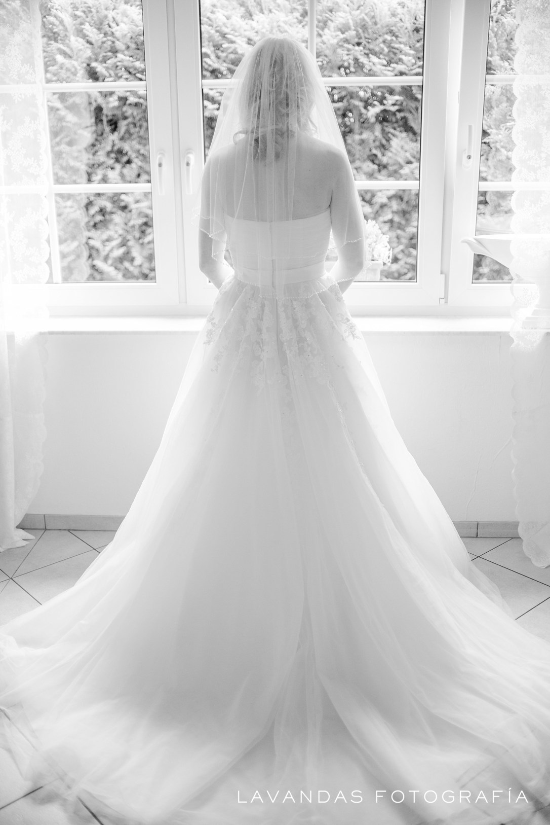 LavandasFotografia_0011