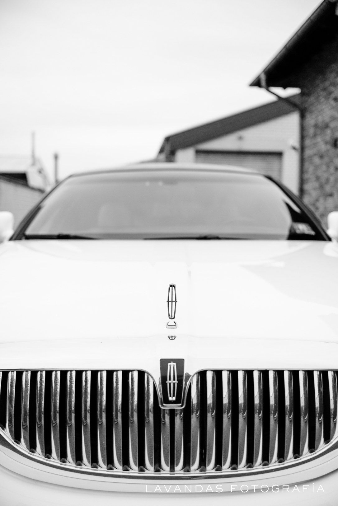 LavandasFotografia_0016