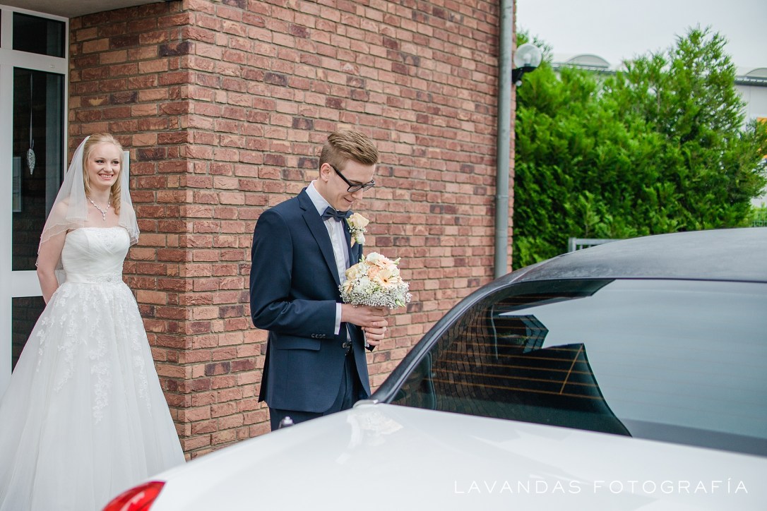 LavandasFotografia_0017