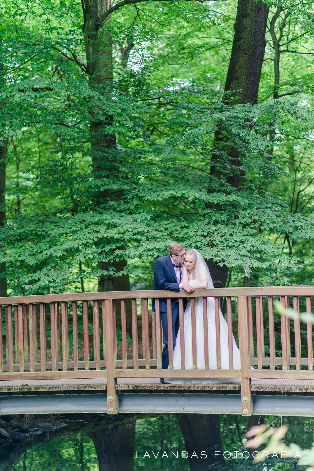 LavandasFotografia_0031