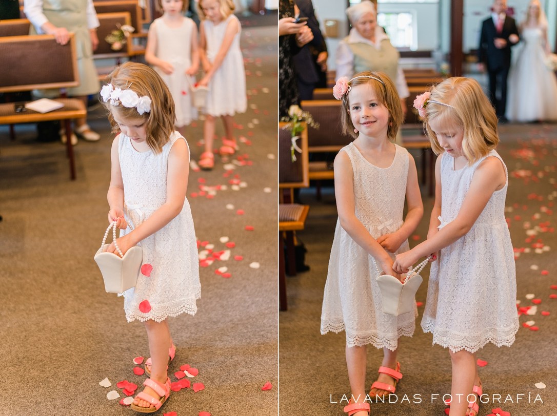 LavandasFotografia_0050